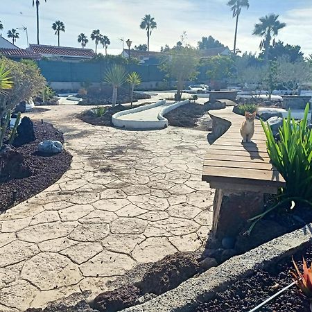 Bungalow En El Sur De Gran Canaria Las Palmas de Gran Canaria Dış mekan fotoğraf